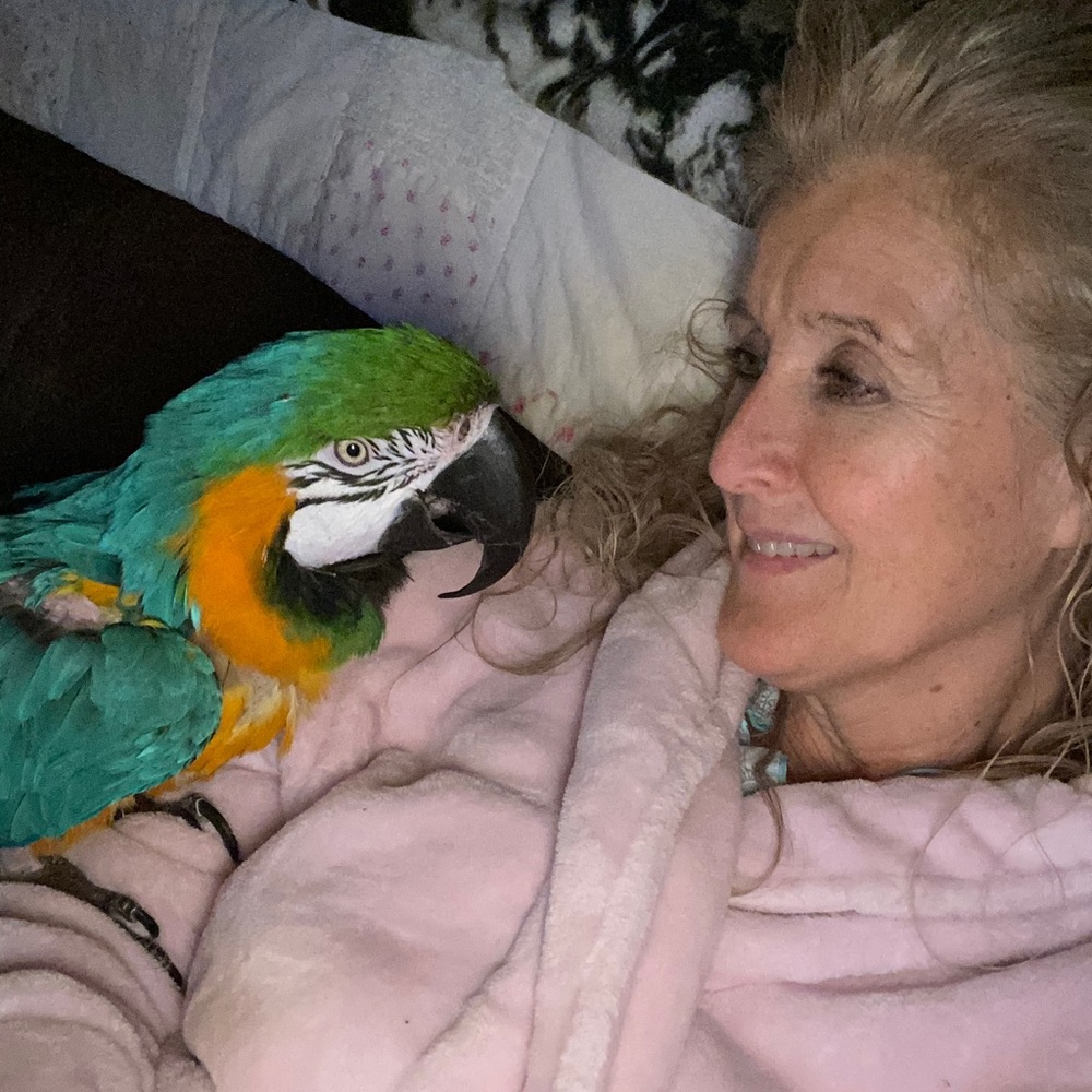 Meet your Posher, Shari